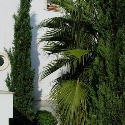 Lodi Apart-hotel 3*